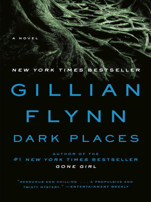 Title details for Dark Places by Gillian Flynn - Available